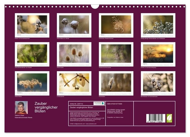 Produktbild: Zauber verg&auml;nglicher Bl&uuml;ten (Wandkalender 2027 DIN A3 quer), CALVENDO Monatskalender