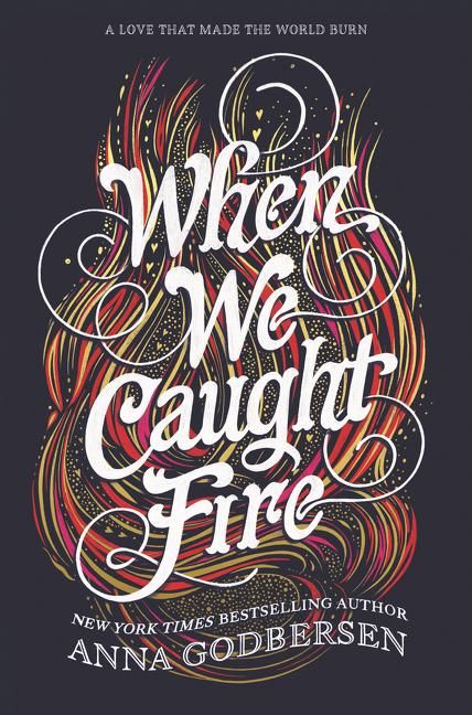 Produktbild: When We Caught Fire