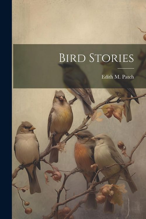 Produktbild: Bird Stories