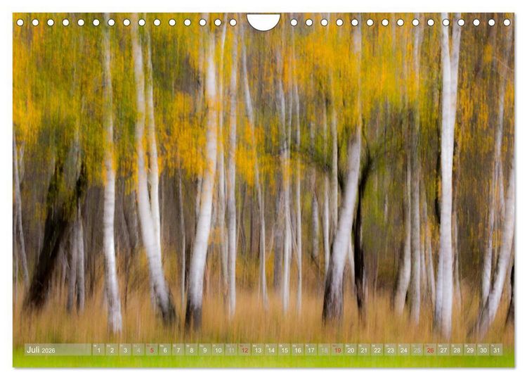 Produktbild: Atelier Wald - gemalt mit Licht (Wandkalender 2026 DIN A4 quer), CALVENDO Monatskalender