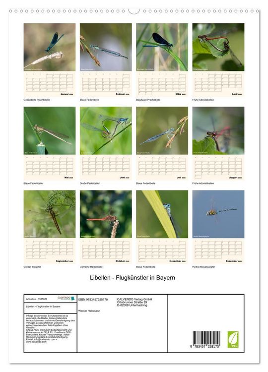 Produktbild: Libellen - Flugk&uuml;nstler in Bayern (hochwertiger Premium Wandkalender 2026 DIN A2 hoch), Kunstdruck in Hochglanz