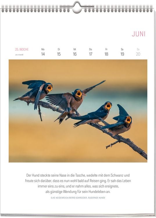 Produktbild: Literarischer Vogel Kalender 2027