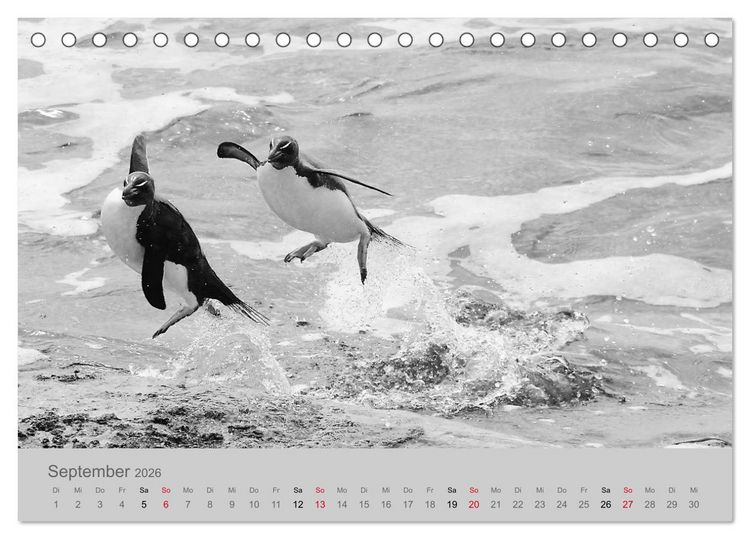 Produktbild: Die Seelen der wilden Tiere (Tischkalender 2026 DIN A5 quer), CALVENDO Monatskalender