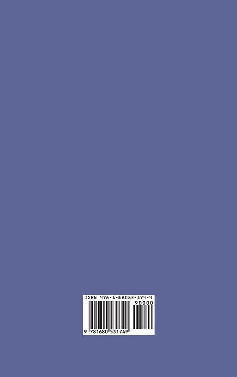 Produktbild: Conflict and Human Security Threats in Africa