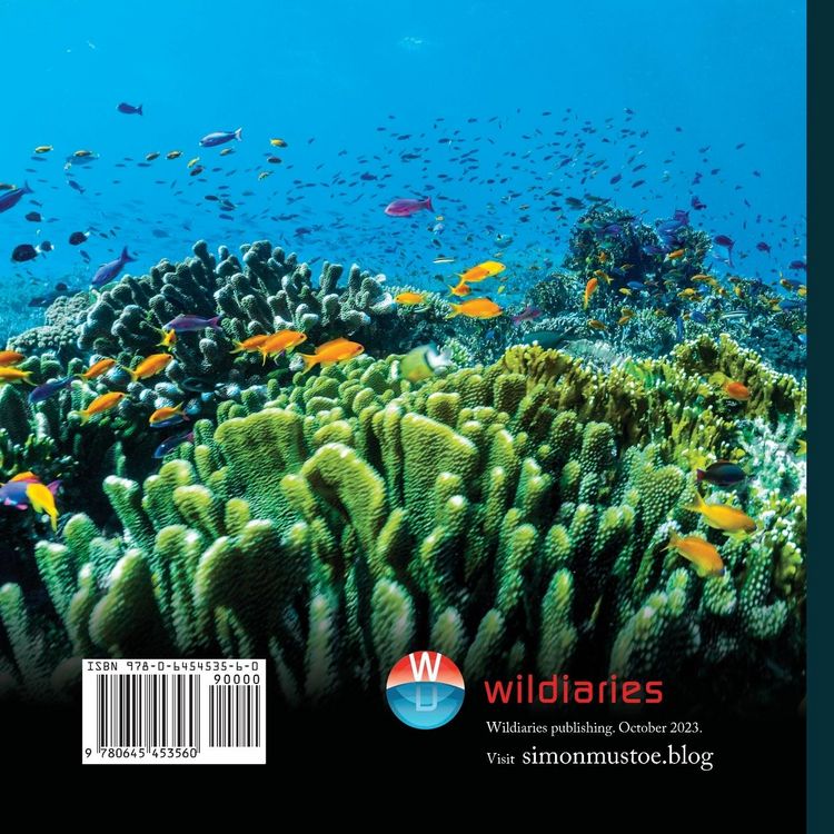 Produktbild: A Beginner's Guide to Snorkelling Fiji's Northern Division