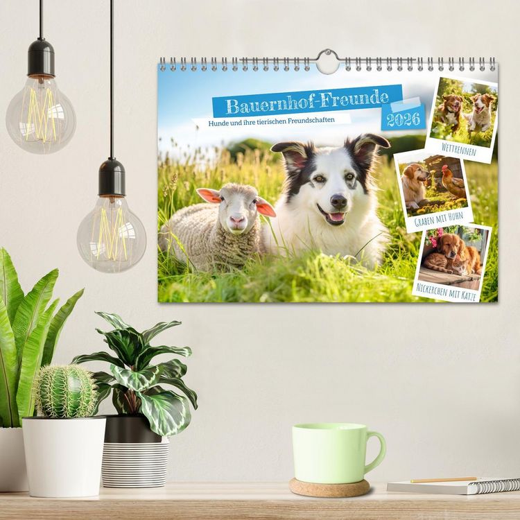 Produktbild: Bauernhof-Freunde - Hunde und ihre tierischen Freundschaften (Wandkalender 2026 DIN A4 quer), CALVENDO Monatskalender