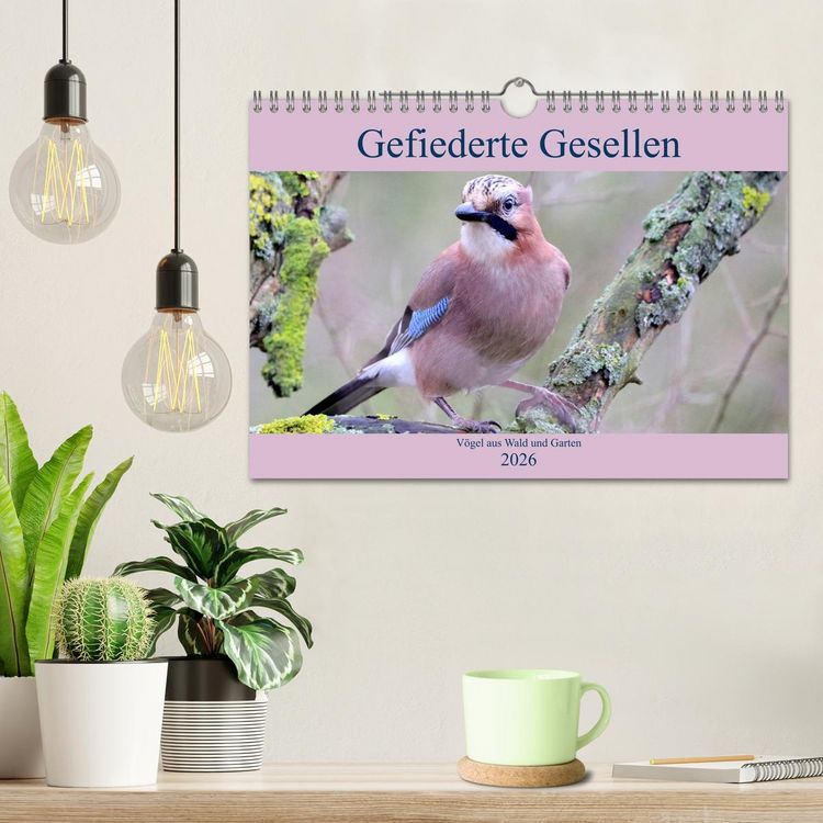 Produktbild: Gefiederte Gesellen - V&ouml;gel aus Wald und Garten (Wandkalender 2026 DIN A4 quer), CALVENDO Monatskalender