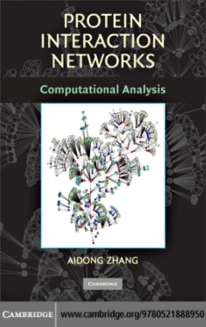 Produktbild: Protein Interaction Networks