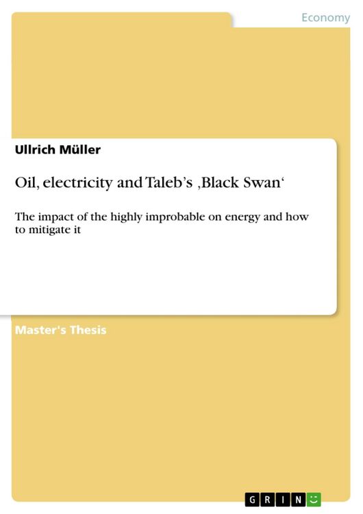 Produktbild: Oil, electricity and Taleb's ,Black Swan'