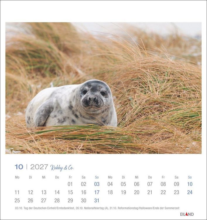Produktbild: Robby & Co. Postkartenkalender 2027