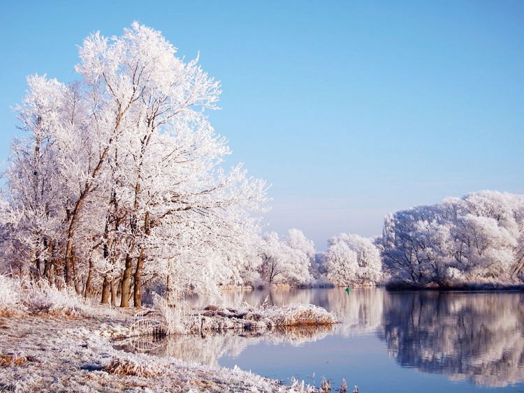 Produktbild: CALVENDO Puzzle Winterlandschaft an der Havel. Landschaft im Havelland. 1000 Teile Lege-Gr&ouml;&szlig;e 64 x 48 cm Foto-Puzzle Bild von Anja Frost