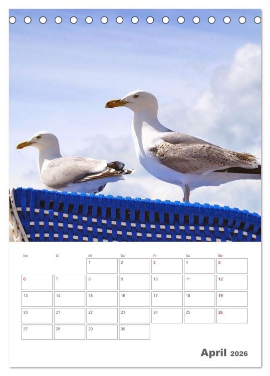 Produktbild: Mein Warnem&uuml;nde - Das moderne Ostseebad im Norden von Rostock (Tischkalender 2026 DIN A5 hoch), CALVENDO Monatskalender