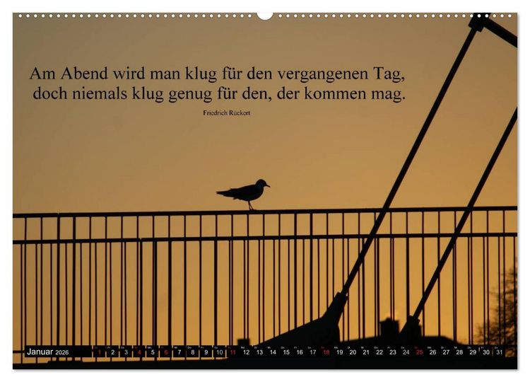 Produktbild: Weisheiten, Zitate und Spr&uuml;che - Ein Jahr voller Gedanken 2026 AT Version (Wandkalender 2026 DIN A2 quer), CALVENDO Monatskalender