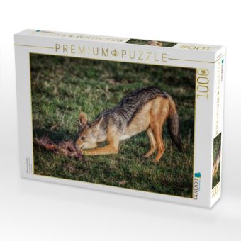Produktbild: CALVENDO Puzzle Mittagessen Schakal | 1000 Teile Lege-Gr&ouml;&szlig;e 64x48cm Foto-Puzzle f&uuml;r gl&uuml;ckliche Stunden