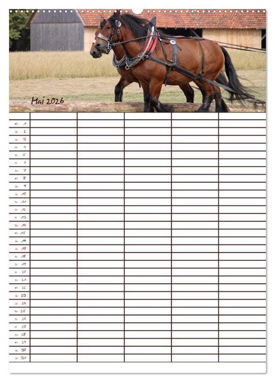 Produktbild: Der Kaltblut-Familienplaner (Wandkalender 2026 DIN A2 hoch), CALVENDO Monatskalender