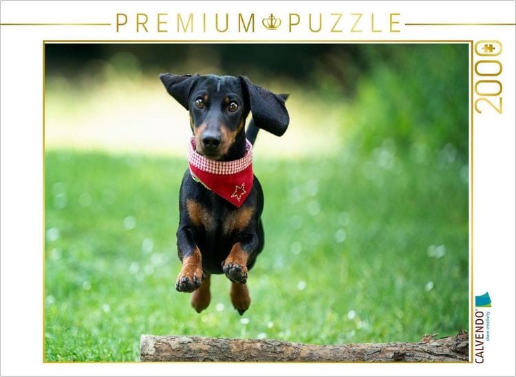 Produktbild: CALVENDO Puzzle Der fliegende Dackel | 2000 Teile Lege-Gr&ouml;&szlig;e 90x67cm Foto-Puzzle f&uuml;r gl&uuml;ckliche Stunden