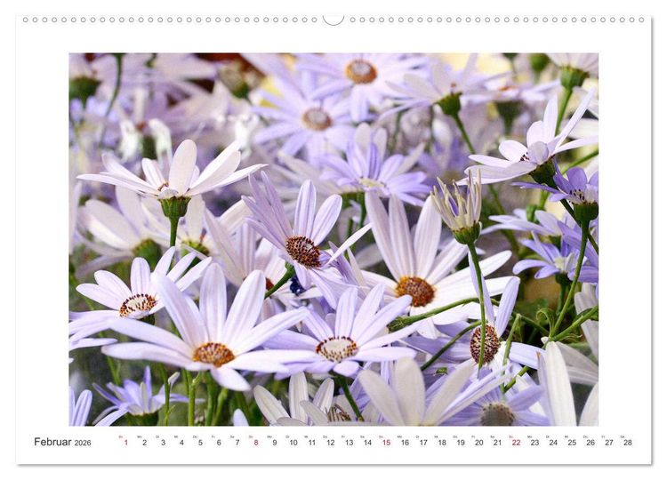 Produktbild: Bl&uuml;ten eines Sommers (hochwertiger Premium Wandkalender 2026 DIN A2 quer), Kunstdruck in Hochglanz