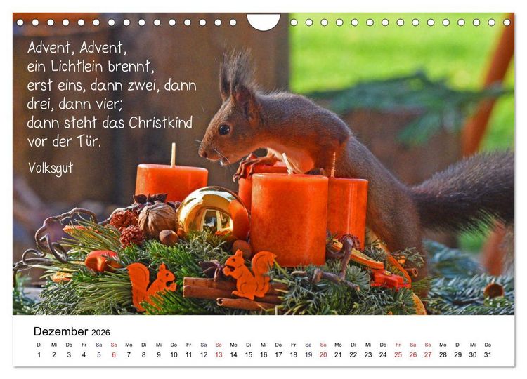 Produktbild: Der literarische Eichh&ouml;rnchen-Kalender (Wandkalender 2026 DIN A4 quer), CALVENDO Monatskalender