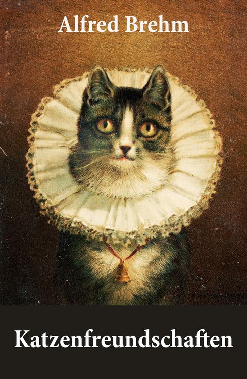 Produktbild: Katzenfreundschaften (4 wundersch&ouml;ne Katzengeschichten vom Tiervater Alfred Brehm)