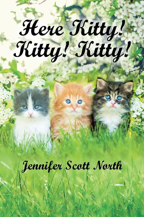 Produktbild: Here, Kitty! Kitty! Kitty!