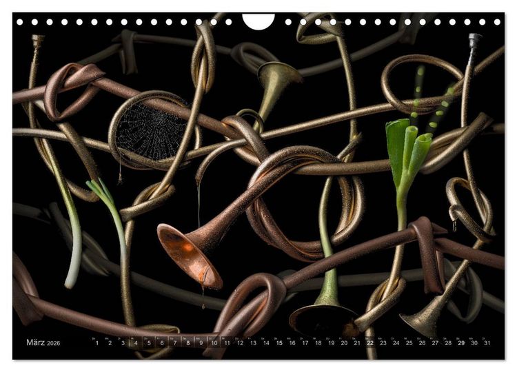 Produktbild: Musica fant&aacute;sia - Die wundersame Welt des Fotok&uuml;nstlers Olaf Bruhn (Wandkalender 2026 DIN A4 quer), CALVENDO Monatskalender