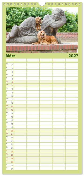 Produktbild: Familienplaner 2027 - English Cocker Spaniel - Fr&ouml;hliche Gesellen mit 5 Spalten (Wandkalender, 21 x 45 cm) CALVENDO