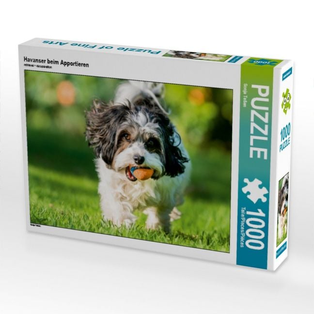 Produktbild: CALVENDO Puzzle Havanser beim Apportieren | 1000 Teile Lege-Gr&ouml;&szlig;e 64x48cm Foto-Puzzle f&uuml;r gl&uuml;ckliche Stunden