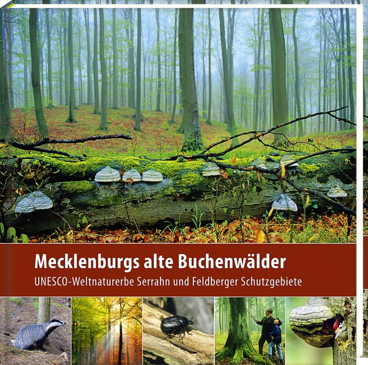 Produktbild: Mecklenburgs alte Buchenw&auml;lder