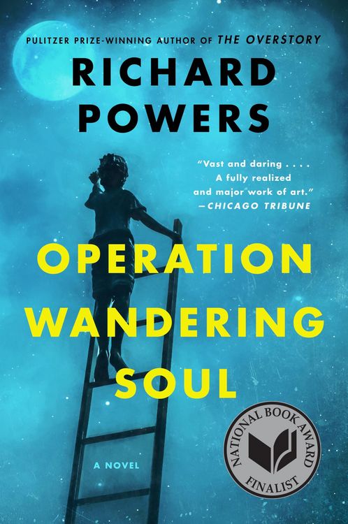 Produktbild: Operation Wandering Soul