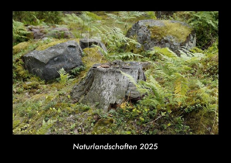 Produktbild: Naturlandschaften 2025 Fotokalender DIN A3