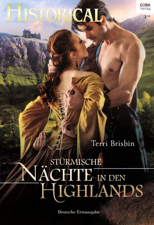 Bild vom Artikel Stürmische Nächte in den Highlands vom Autor Terri Brisbin