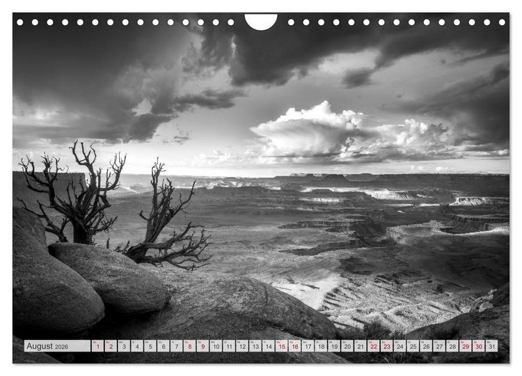 Produktbild: Monochrome Wonders (Wandkalender 2026 DIN A4 quer), CALVENDO Monatskalender