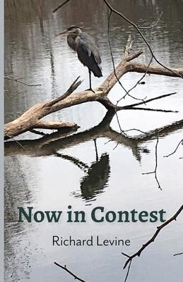 Produktbild: Now in Contest