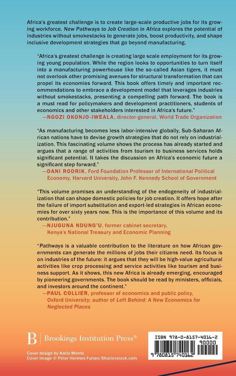 Produktbild: New Pathways to Job Creation and Development in Africa