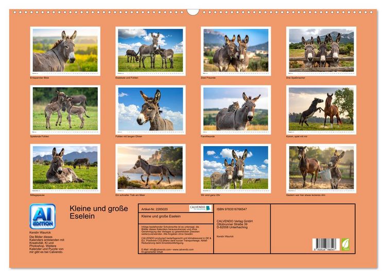 Produktbild: Kleine und gro&szlig;e Eselein (Wandkalender 2027 DIN A2 quer), CALVENDO Monatskalender