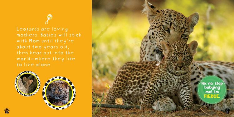Produktbild: So Cool! Leopards