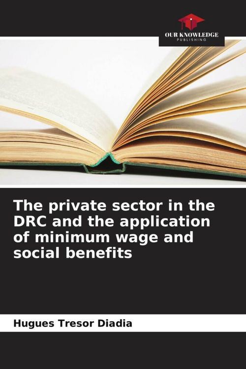 Produktbild: The private sector in the DRC and the application of minimum wage and social benefits