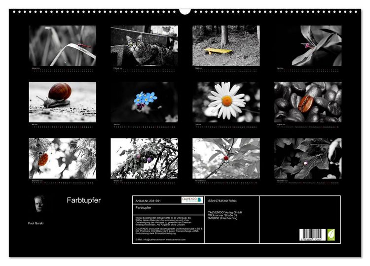 Produktbild: Farbtupfer (Wandkalender 2026 DIN A2 quer), CALVENDO Monatskalender