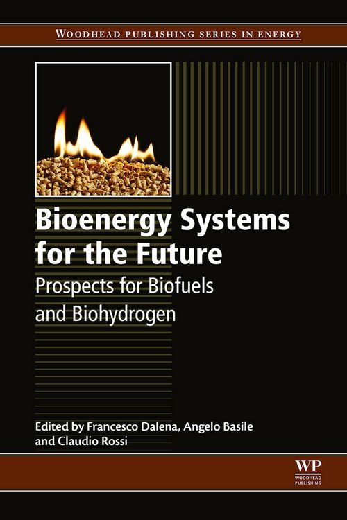 Produktbild: Bioenergy Systems for the Future