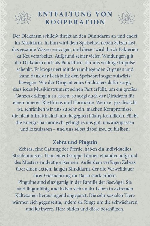 Produktbild: Kraftvolle Organe - &Uuml;bungen und Impulse zur Befreiung von Energieblockaden