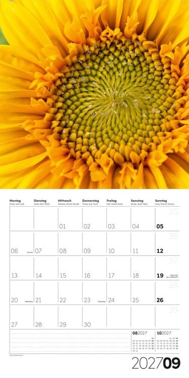 Produktbild: Die Farbe Gelb Kalender 2027 - 30x30 - Art12