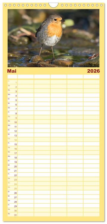 Produktbild: Familienplaner 2026 - Geliebtes Rotkehlchen mit 5 Spalten (Wandkalender, 21 x 45 cm) CALVENDO