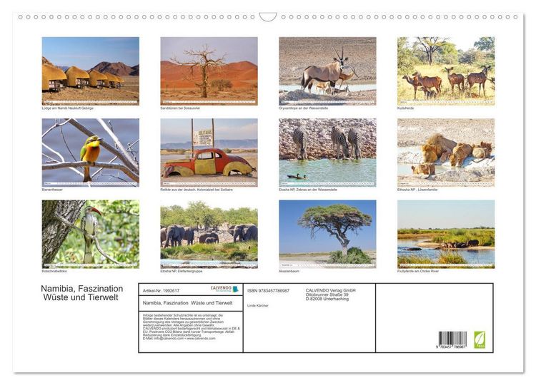 Produktbild: Namibia, Faszination W&uuml;ste und Tierwelt (Wandkalender 2026 DIN A2 quer), CALVENDO Monatskalender