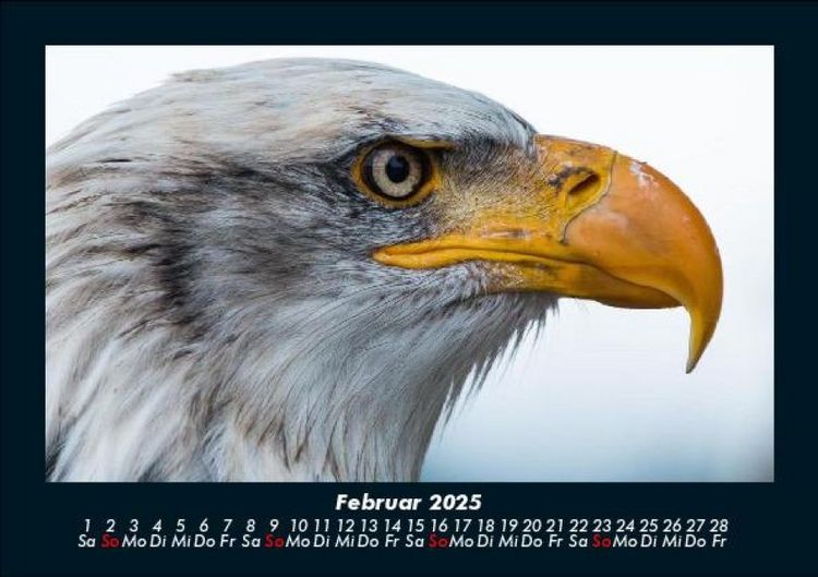 Produktbild: Vogelparadies 2025 Fotokalender DIN A5