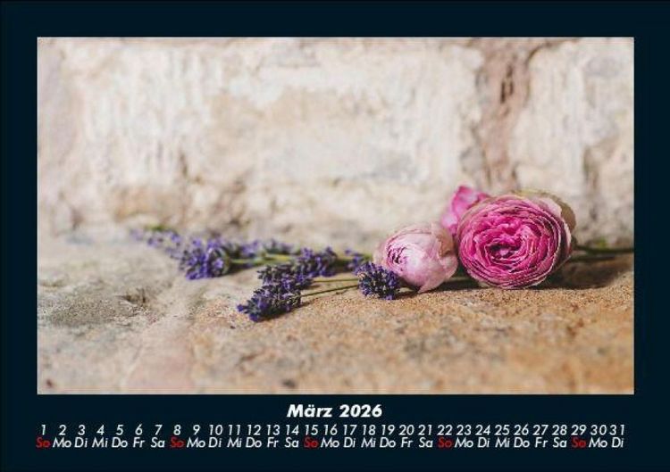 Produktbild: Blumentr&auml;ume 2026 Fotokalender DIN A5