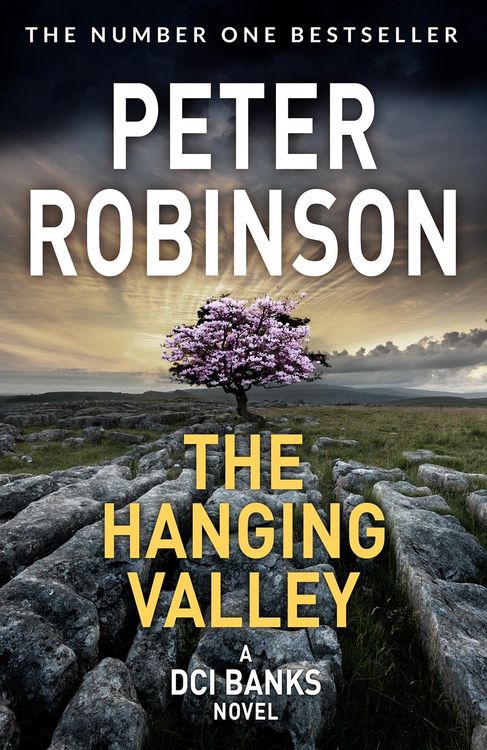 Produktbild: The Hanging Valley