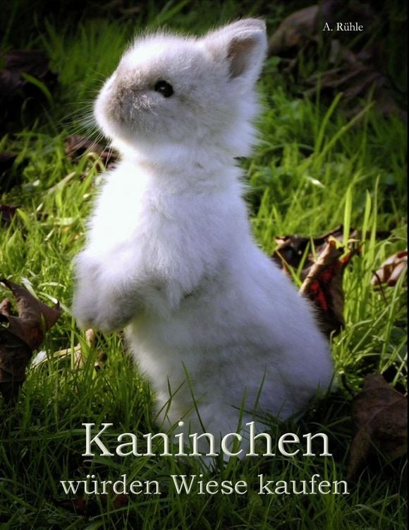 Produktbild: Kaninchen w&uuml;rden Wiese kaufen