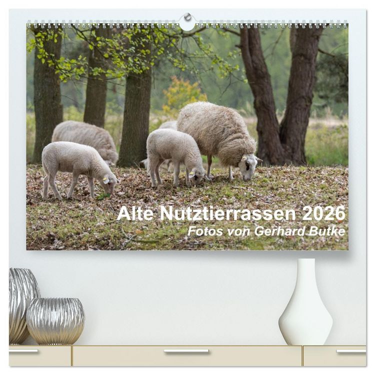 Produktbild: Alte Nutztierrassen 2026 (hochwertiger Premium Wandkalender 2026 DIN A2 quer), Kunstdruck in Hochglanz