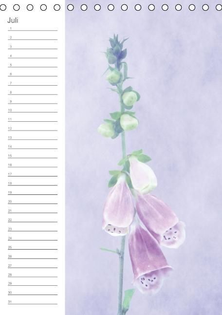 Produktbild: Zarte Bl&uuml;ten / Geburtstagskalender (Tischkalender immerw&auml;hrend DIN A5 hoch)