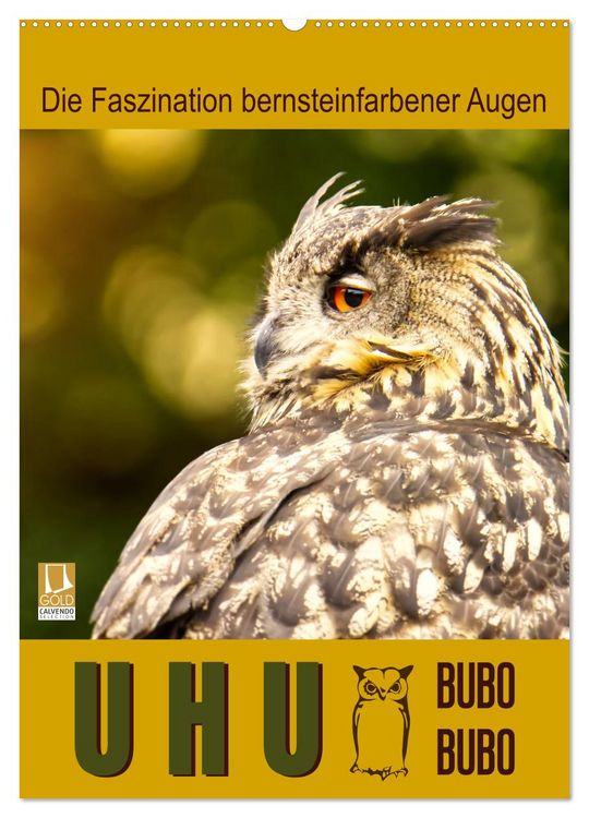 Produktbild: Uhu, die Faszination bernsteinfarbener Augen (Wandkalender 2026 DIN A2 hoch), CALVENDO Monatskalender
